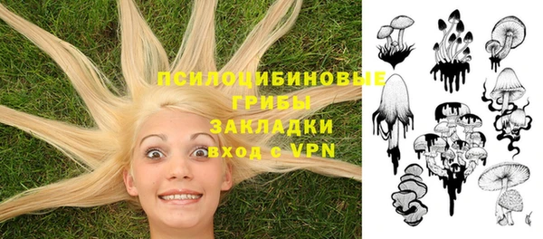 прущая мука Баксан