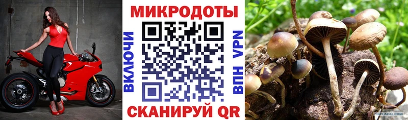 Галлюциногенные грибы мицелий наркотики Балахна